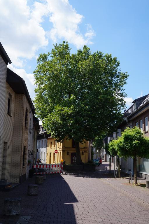 Ferienwohnung Haagedoernchen نتيتال المظهر الخارجي الصورة